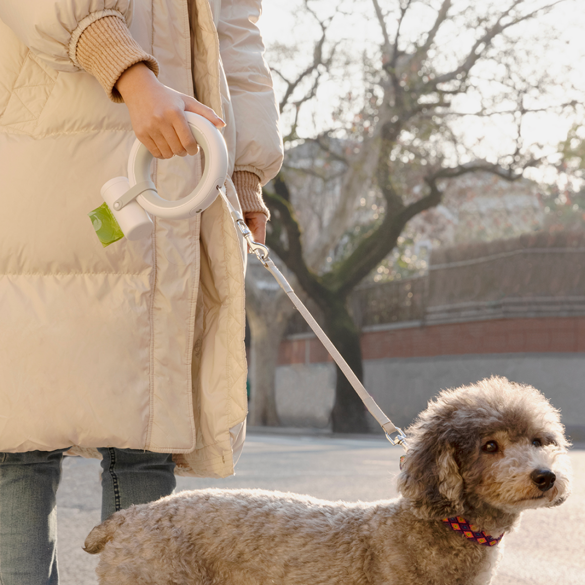 Retractable Dog Leash